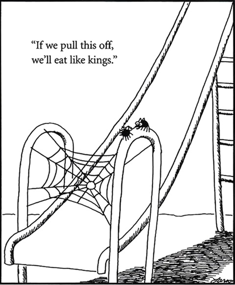 Spider cartoon.jpg