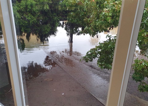 Taree Library flood 22.03.21.jpg